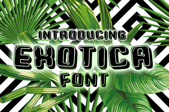 Exotica Font: A Playful Typeface for Business Branding